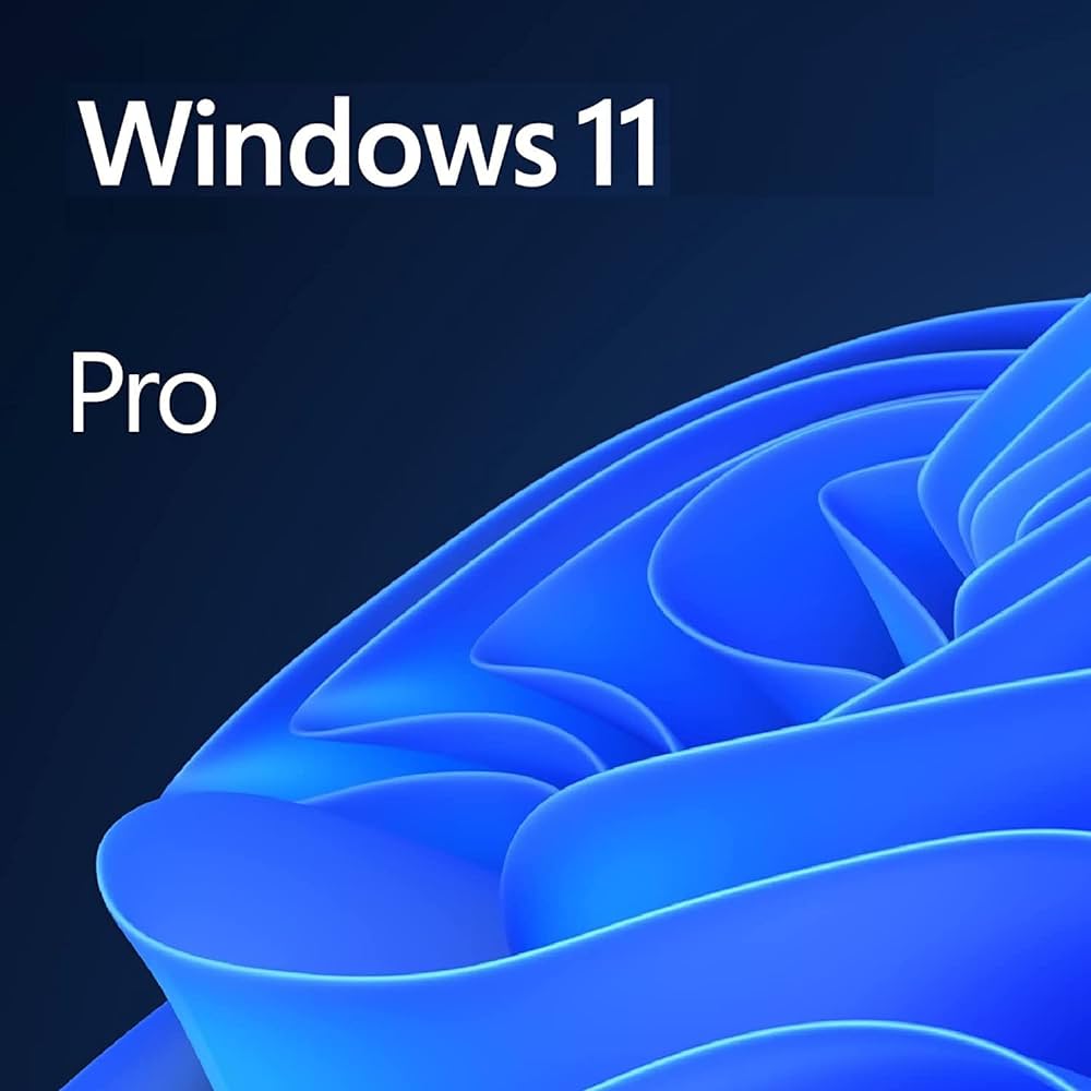 Featured image for “Microsoft Windows 11 Pro 64bit 日本語 DSP版 新品SSDセット 256GB”